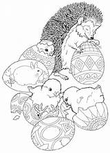 Hedgehog Coloring Pages sketch template