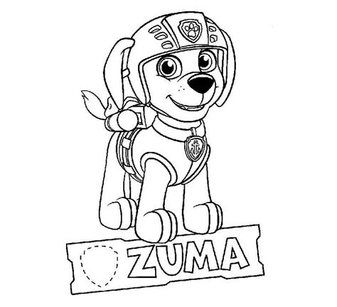zuma paw patrol coloring page  printable coloring pages  kids