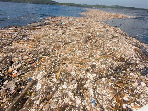 trash islands      oceans   alarming rate