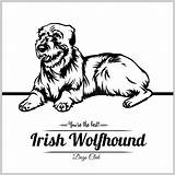 Wolfhound Vettoriale Maglietta sketch template