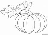 Leaves Fall Coloring Pumpkin Pages Printable sketch template