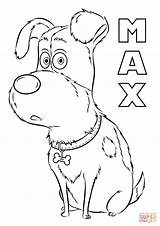 Coloring Pets Secret Life Pages Max Printable Drawing sketch template