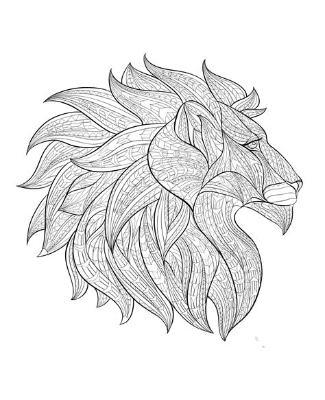coloring page coloring adult africa lion head profile lion head