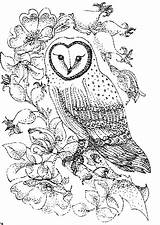 Owl Coloring Pages Barn Color Print Printable Owls Animals Abstract Sheet Colouring Kids Animal Adults Adult Town Intermediate Book Detailed sketch template