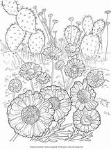 Stamping Craftgossip Blooms sketch template