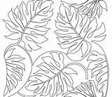 Tropical Leaf Drawing Coloring Rainforest Plants Pages Flowers Printable Adult Getdrawings sketch template