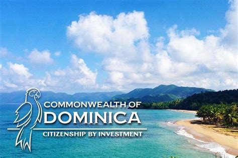 Dominica To Implement A New Entrepreneur Visa Program Caribbean News