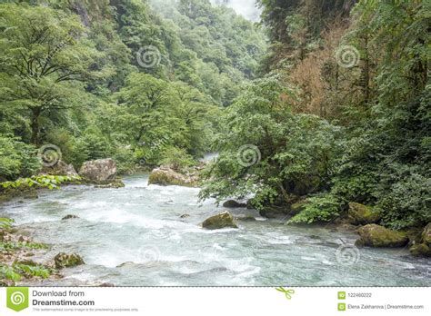 mountain river   strong current   mountains stock photo