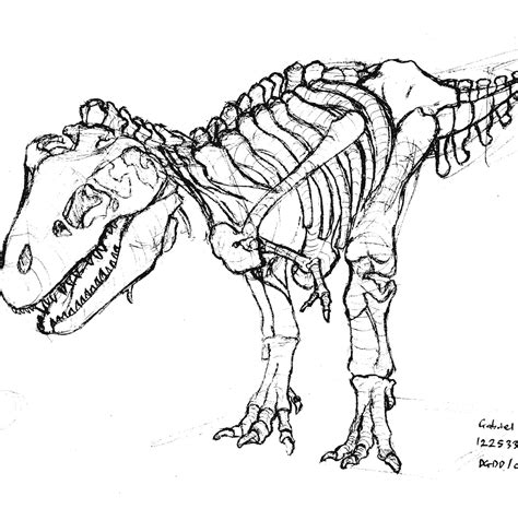 dinosaur bones coloring pages coloring pages