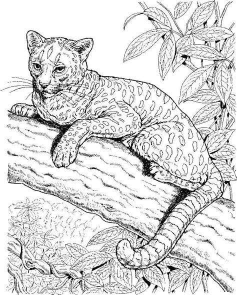 leopard coloring pages  print mermaid coloring pages animal