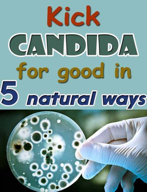 get rid of candida for good with natural treatments candida