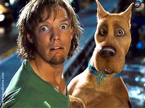 Scooby Doo Wallpaper Scoobydoo And Shaggy