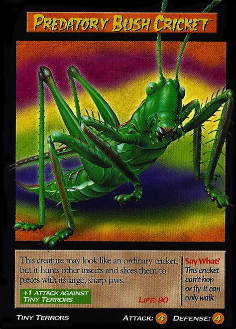 predatory bush cricket tcg wierd nwild creatures wiki fandom powered  wikia