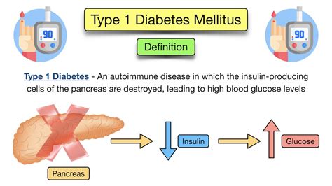 type  diabetes mellitus symptoms treatment  medications definition pathophysiology
