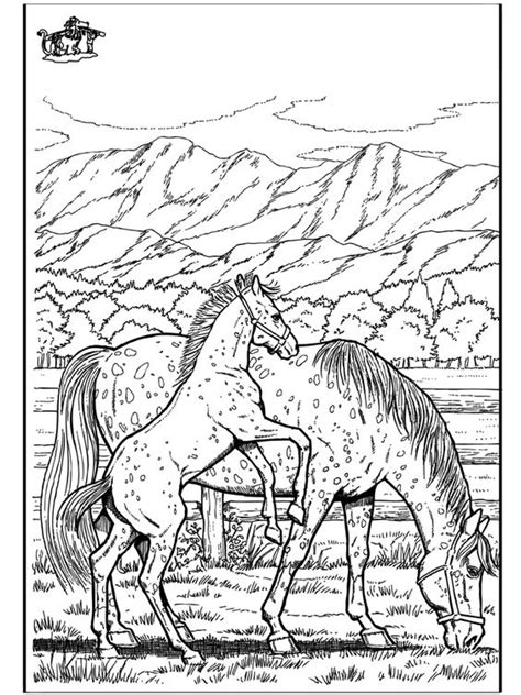 wild horse coloring pages  funnycoloring  animals coloring