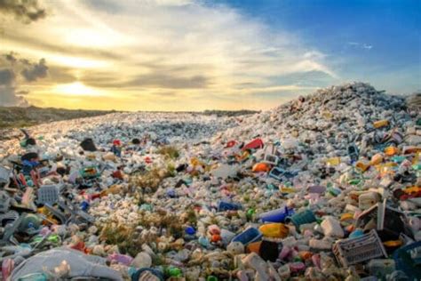 neue wwf studie zeigt die unglaublichen kosten der plastik krise wwf