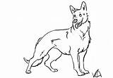Shepherd German Coloring Pages Dog Drawing Line Print Kids Shepard Drawings Puppy Color Printable Shepherds Sheets Dogs Puppies Animal Animals sketch template
