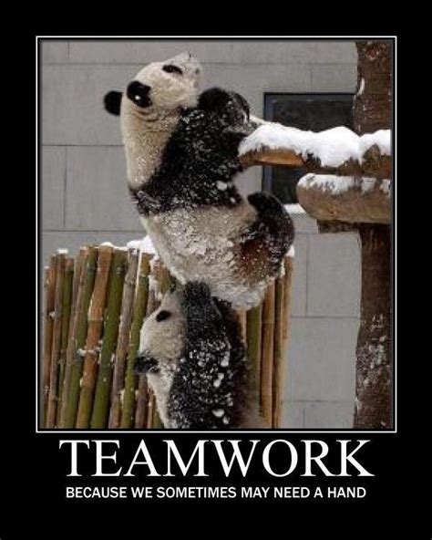 Cute Teamwork Pictures