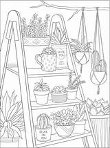 Succulents Dover Houseplant Kolorowanki sketch template
