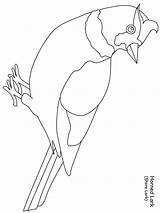 Coloring Pages Birds Lark Animals Advertisement sketch template