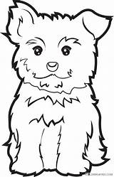 Yorkie Puppy Yorkshire Poo Outline Puppies Maltese Pluspng sketch template
