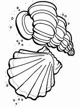 Ocean Coloring Pages Primarygames Sea Science Preschool Shells sketch template