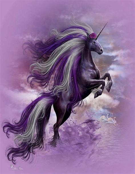 17 best images about fantasy art unicorns fairies