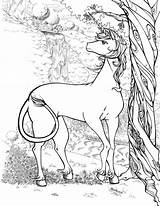 Coloring Unicorn Pages Adults Realistic Forest Colouring Dragon Printable Adult Popular Coloringhome sketch template
