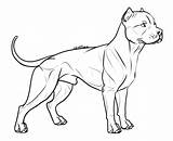 Bully Lineart Pitbull sketch template