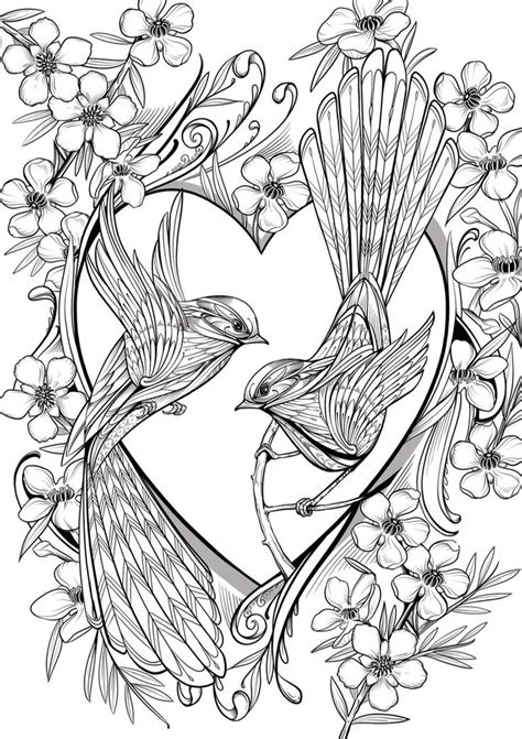 images  animal coloring pages  adults  pinterest