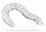 Millipede Draw Drawing Step sketch template