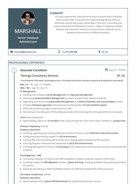 page resume format  examples guide