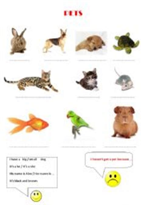 english worksheets pets