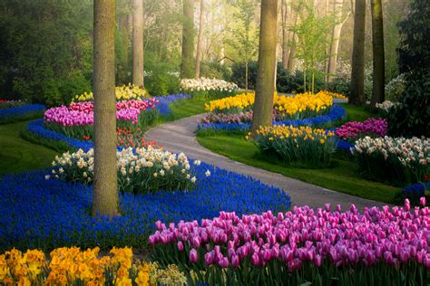The Most Beautiful Flower Garden In The World Without People
