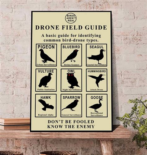 birds arent real poster birds arent real drone field guide poster