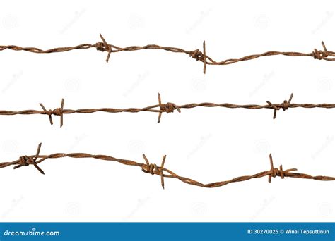 barb wire royalty  stock photo image