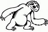Sloth Perezoso Oso Perezosos Osos Imprimir Sloths sketch template
