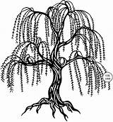 Willow Tree Weeping Clipart Drawing Coloring Pages Clip Silhouette Vector Tattoo Simple Trees Cliparts Search Angel Library Drawings 2115 Illustration sketch template