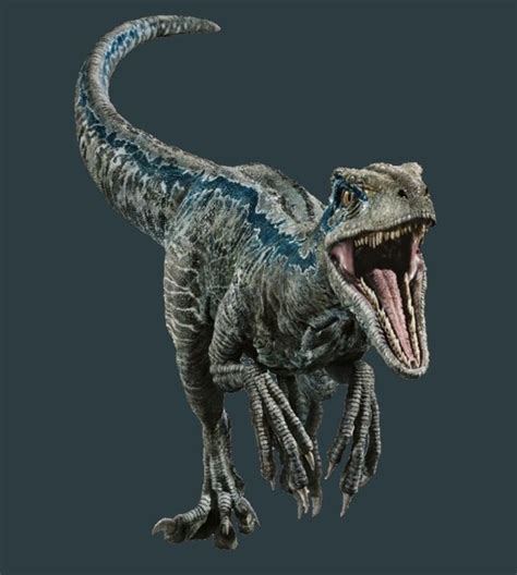 blue  velociraptor images  pinterest dinosaurs jurassic