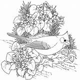 Pages Coloring 1000 Bird Print Adults Getcolorings Printable Color sketch template
