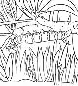Caterpillar Raupe Supercoloring Chenille Monarch Bruchi Swallowtail Getdrawings Ispirazione Refuge sketch template