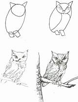 Grassland Animals Drawing Getdrawings sketch template