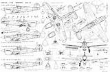 Warhawk Curtiss Blueprint 40e Blueprints Airplanes Plans Hurricane Planes Drawingdatabase Detalhes P51 Fairey Technical Wwi Dimensions Isto sketch template
