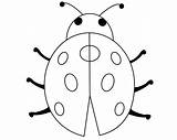 Ladybug Ladybugs Careersplay Printables sketch template