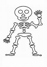 Squelette Drawings Skeletons Coloriages Coloringhome sketch template