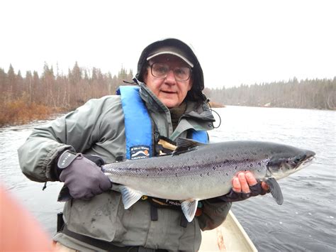 russian atlantic salmon fishing  cold beginning miramichi info brad burns fishing