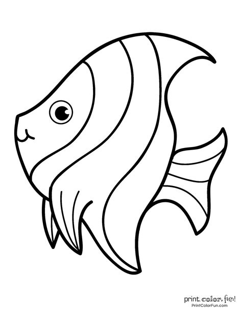 funny fish coloring page  printcolorfun   fish coloring page
