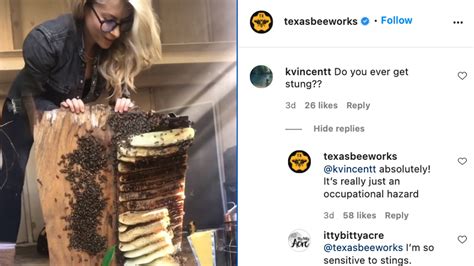 Texas Beekeeper Shows In Viral Video How She Rescues Bees Miami Herald