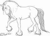 Shire Friesian Lineart Stallion Clydesdale Percheron Succubus Rosela Daycoloring sketch template