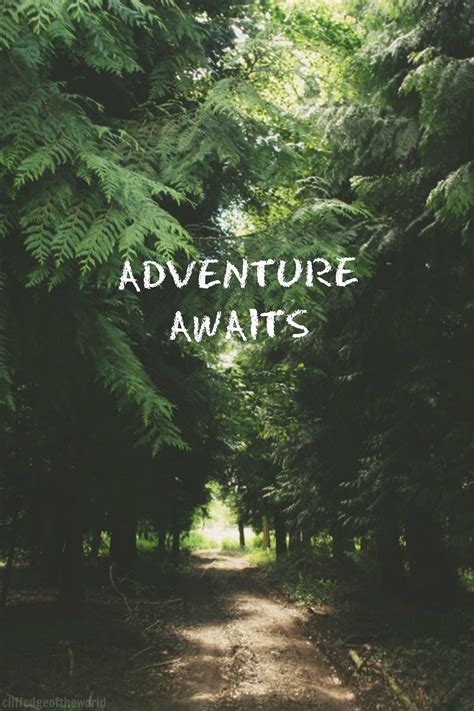 words quotes  tree forest road adventure